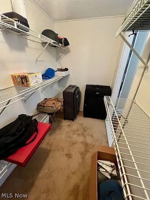Big Closet